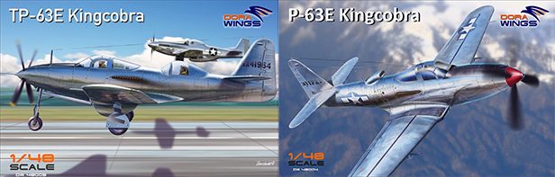 Dora Wings Models 1/48 BELL TP-63E KINGCOBRA Fighter Trainer